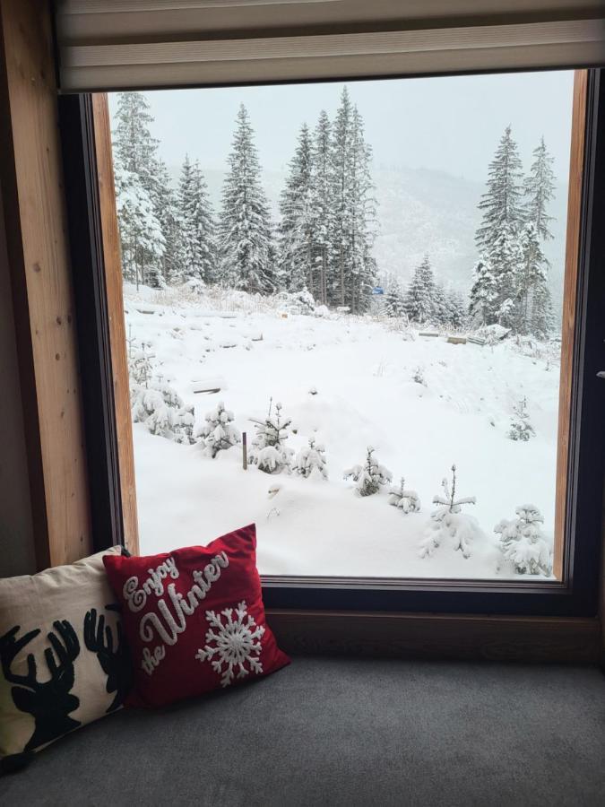 Hillview Jasna Chalet 迪马诺卡多林纳 外观 照片